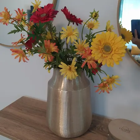 アパート Mi Rincon Favorito ロンダ