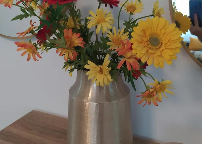 公寓 Mi Rincon Favorito 龙达